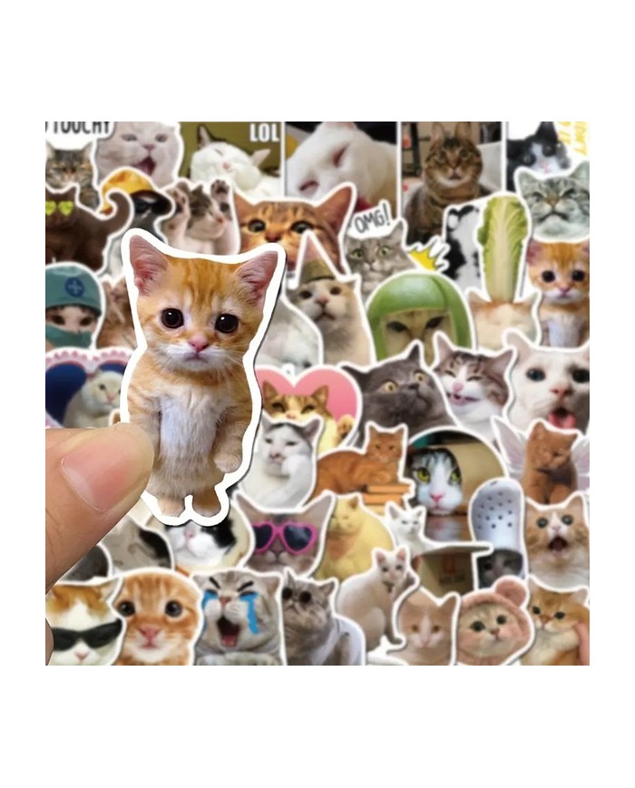 Autocollants Chat "Meme" (50pcs)