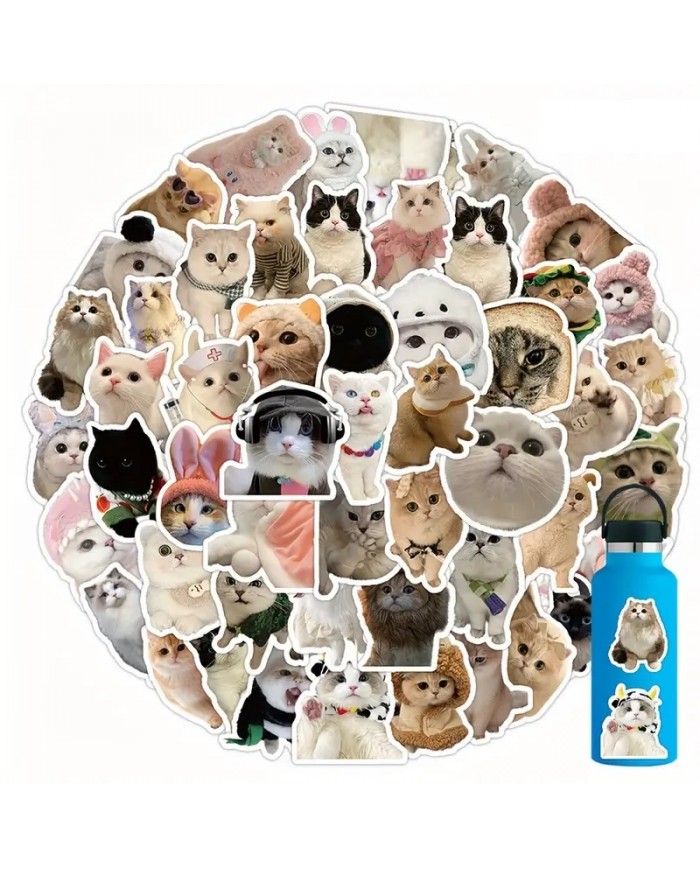 Autocollants Chat "Meme" (50pcs)