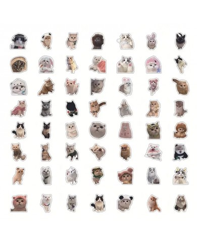 Autocollants Chat "Meme" (50pcs)