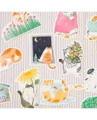 Carte Postale Chat
