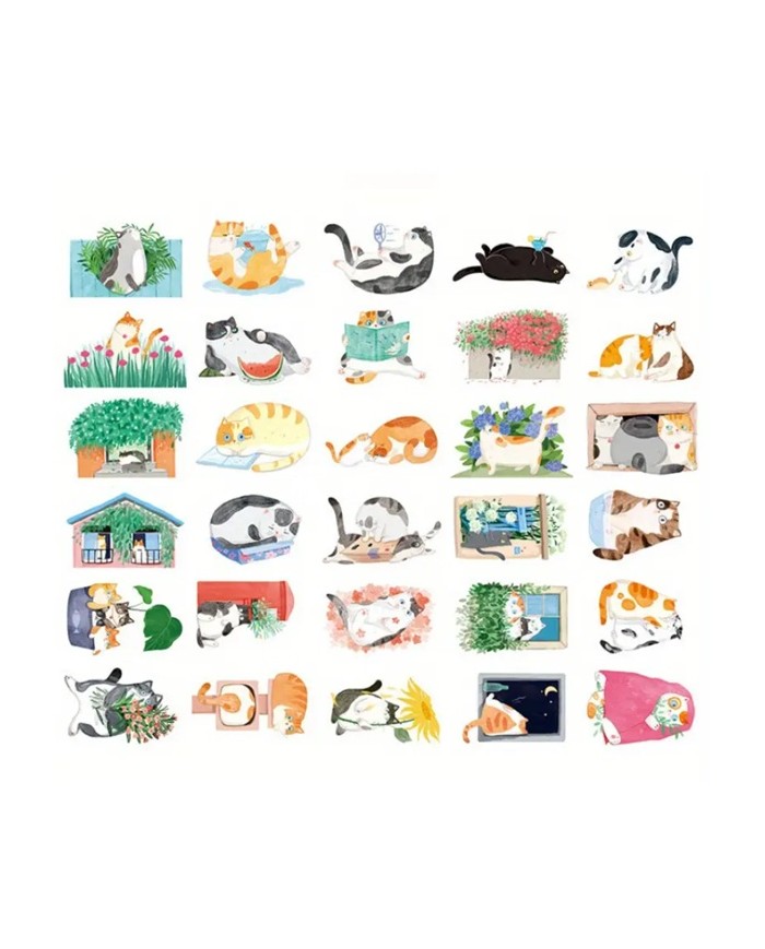 Carte Postale Chat